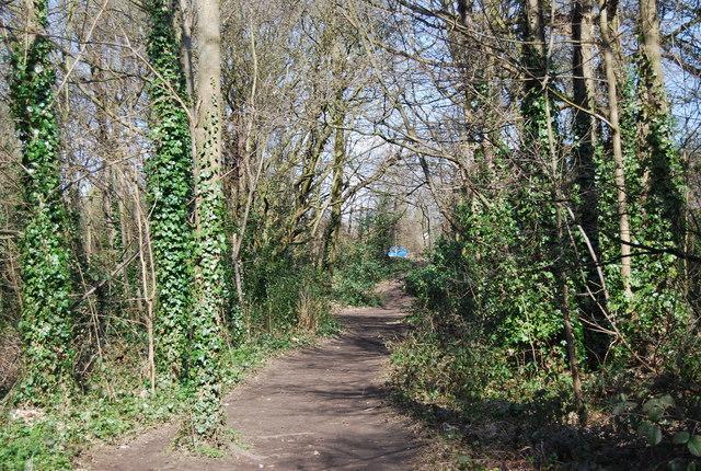 118 Shepherds Lane Dartford Buitenkant foto